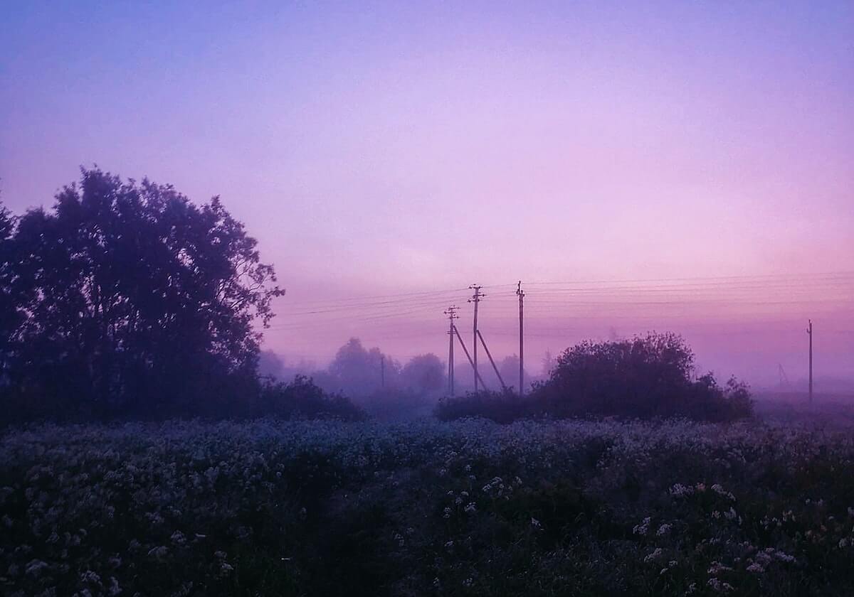 记者:德容和孔德今日被队友夹道欢迎,莱万将随队出战莱万特
